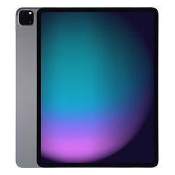 Apple iPad Pro 12,9 256GB [Wi-Fi, Modell 2021] space grau