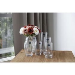 6x Vasen Glas Zylinder Dekoration Tisch Blumen Pflanzen Gefäß Strauß Väschen