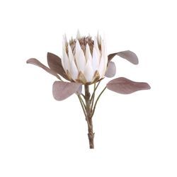 Chic Antique Fleur Kunstblume Protea, H66 cm, creme