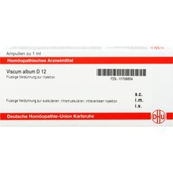 Viscum Album D12 Ampullen 8 ML