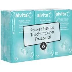 Alvita Taschentücher 6X10 St