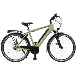 E-Bike MAXTRON "MT 11X" Gr. 54, grün (reseda, grün), E-Bikes, 54cm, 28 Zoll (71,12cm), Pedelec, Elektrofahrrad für Herren