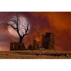 Fototapete PAPERMOON "Ruine in Landschaft mit Mond", bunt, B:5,00m L:2,80m, Vlies, Tapeten