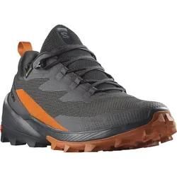 Wanderschuh SALOMON "CROSS OVER 2 GORE-TEX", Gr. 40,5, grau (phantom), Synthetik, Textil, sportlich, Schuhe, wasserdicht, Topseller