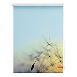 Rollo Klemmfix, ohne Bohren, blickdicht, Pusteblume - Blau, 60 x 150 cm (B x L)