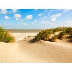 Fototapete PAPERMOON "Dunes Knokke-Heist", bunt (mehrfarbig), B:5m L:2,8m, Vlies, Tapeten