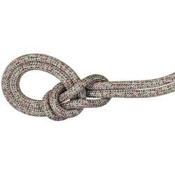 Mammut 9.5 Crag We Care Classic Rope - Einfachseil