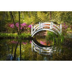 Fototapete PAPERMOON "GARTEN-NATUR LANDSCHAFT WALD BÄUME BLUMEN BRÜCKE SEE", bunt, B:4,50m L:2,80m, Vlies, Tapeten