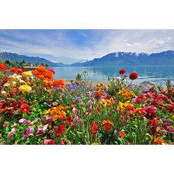 Fototapete PAPERMOON "BLUMEN-DESIGN NATUR LANDSCHAFT GEBIRGE BERGE ALPEN SEE", bunt, B:5,00m L:2,80m, Vlies, Tapeten