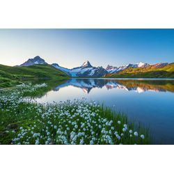 Fototapete PAPERMOON "LANDSCHAFT-GEBIRGE BERGE SEE ALPEN BLUMEN NATUR TAPETE", bunt, B:4,00m L:2,60m, Vlies, Tapeten