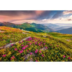 Fototapete PAPERMOON "BLUMEN-NATUR LANDSCHAFT BERGE GEBIRGE ALPEN LAVENDEL", bunt, B:5,00m L:2,80m, Vlies, Tapeten