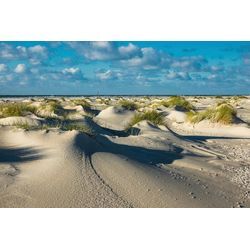 Fototapete PAPERMOON "DÜNEN-NATUR NORD SEE SAND STRAND MEER WÜSTE LANDSCHAFT", bunt, B:3,00m L:2,23m, Vlies, Tapeten