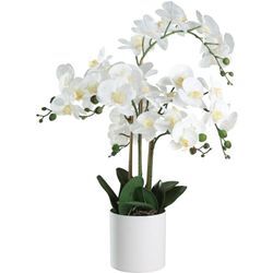 Kunstpflanze Hyuga, künstliche Zimmerpflanze im Topf, naturgetreue Deko Pflanze für Wohnzimmer, Orchidee aus Kunststoff in Weiß, 65 cm - Eglo Living