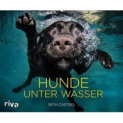 Seth Casteel - GEBRAUCHT Hunde unter Wasser - Preis vom 20.12.2024 05:58:17 h