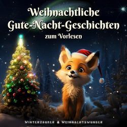 GEBRAUCHT Winterzauber & Weihnachtswunder: Ein Kinderbuch mit zauberhaften Weihnachts-Gute-Nacht-Geschichten zum Vorlesen für Kinder ab 3 Jahren - Preis vom 21.12.2024 05:55:56 h