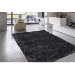 Hochflor-Teppich CALO-DELUXE "Masada 900", grau (anthrazit), B:200cm H:40mm L:290cm, Kunstfaser, Teppiche, Wohnzimmer