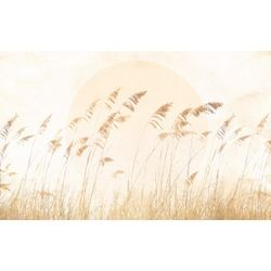 Vliestapete KOMAR "Digitaldruck Vlies - Dune Grass - Größe 400 x 250 cm", braun (braun, gelb), B:400m L:250m, Vlies, Tapeten, Wohnzimmer, Schlafzimmer