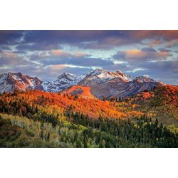 Fototapete PAPERMOON "GEBIRGE-HERBST NATUR ALPEN LANDSCHAFT WALD BÄUME BERGE", bunt, B:3,00m L:2,23m, Vlies, Tapeten