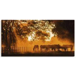 Wandbild ARTLAND "Goldenes Licht auf der Pferdewiese", orange, B:150cm H:75cm, Canvas, Leinwand, Bilder, als Leinwandbild in verschied. Größen