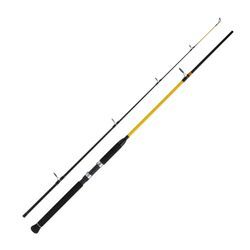 WFT Never Crack Big Fish 3,00m 150-700g Norwegen Rute