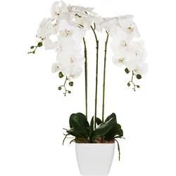 Künstliche Topfpflanze 59 cm ORCHID